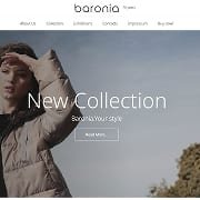 Baronia fashion website homepage thumbnail