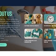Eco Safe Cleaning Edmonton website about section thumbnail